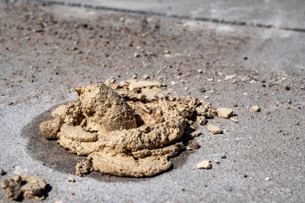 Cost of Driveway Slab Leveling in Saint Clair Shores
